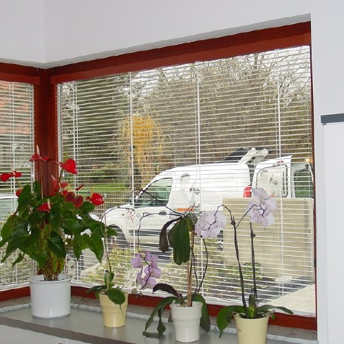Jalousien3